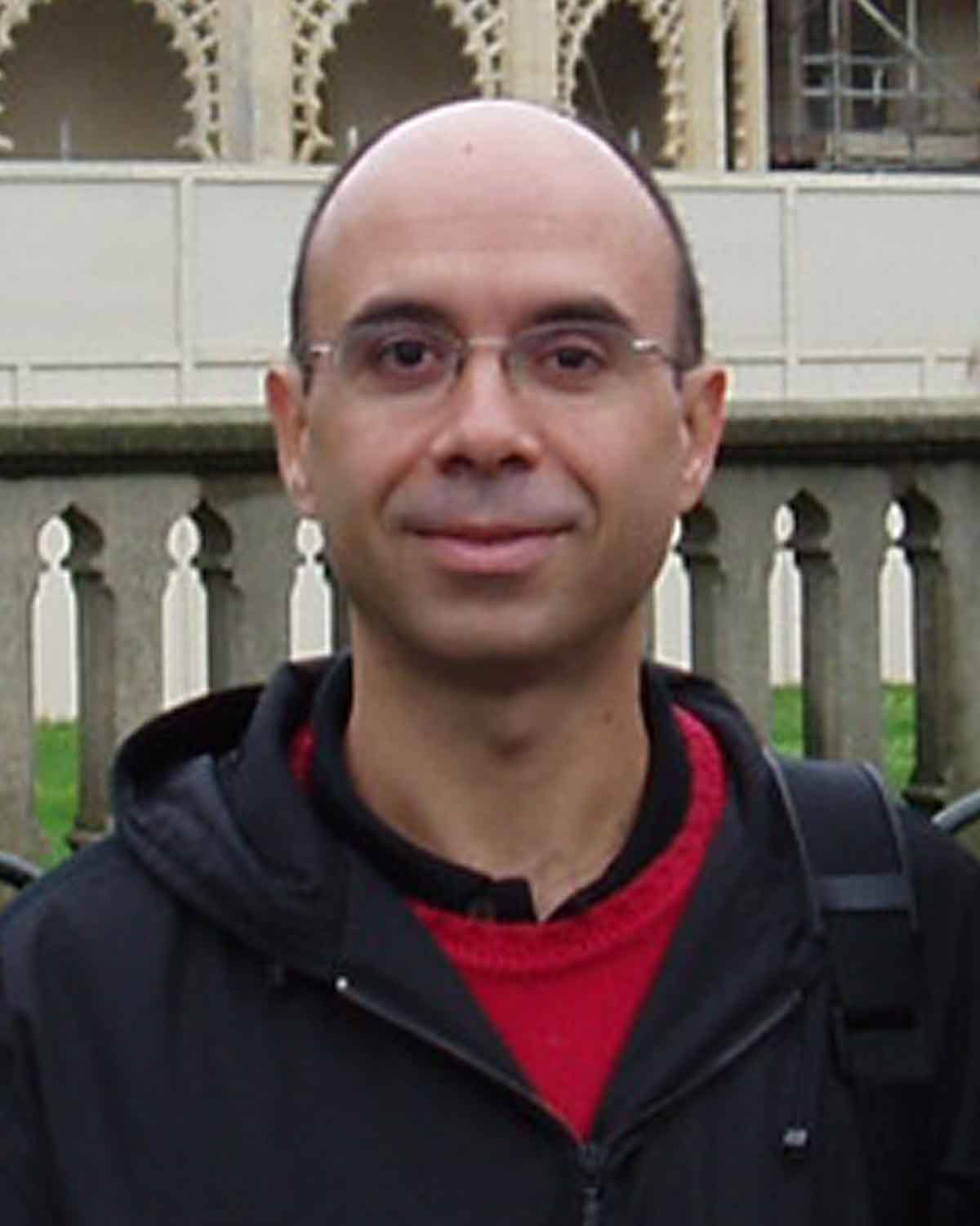 bestwpdeveloper