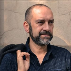 bestwpdeveloper